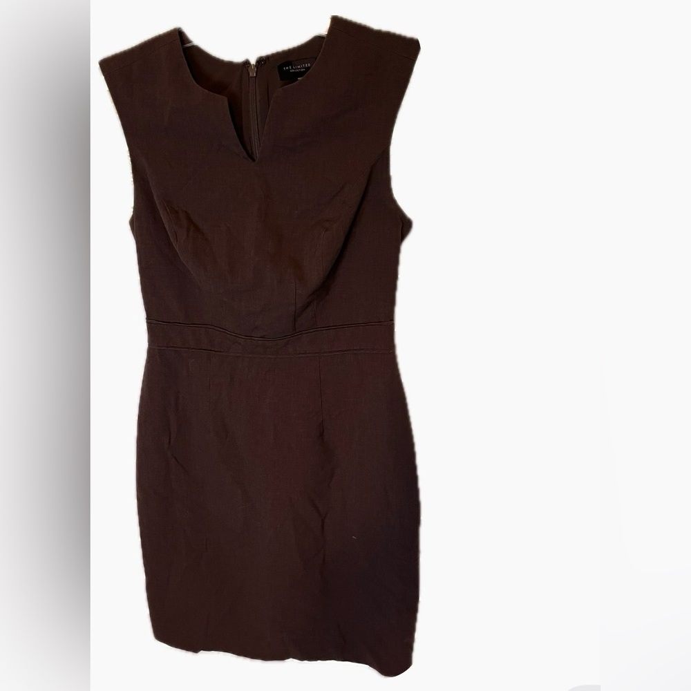 The Limited Chocolate Brown Dress